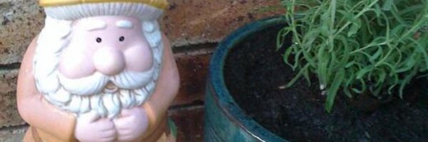 LunaRaye Profile Banner