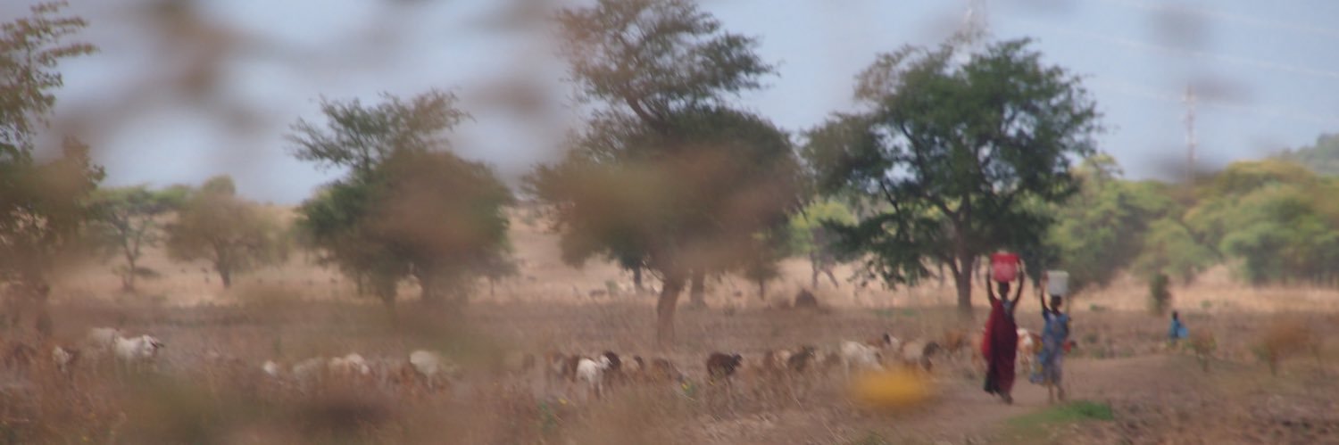 elisabeth bollrich banner