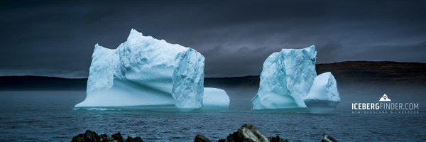 IcebergTweets Profile Banner