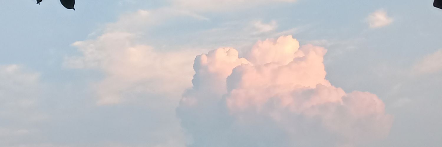 Elizyking's profile banner image