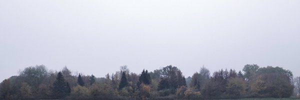 TReiffenrath Profile Banner