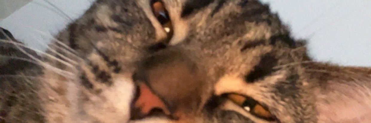 (The)Bobby_Nipper banner