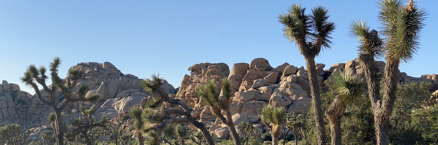 Philip Hickey banner