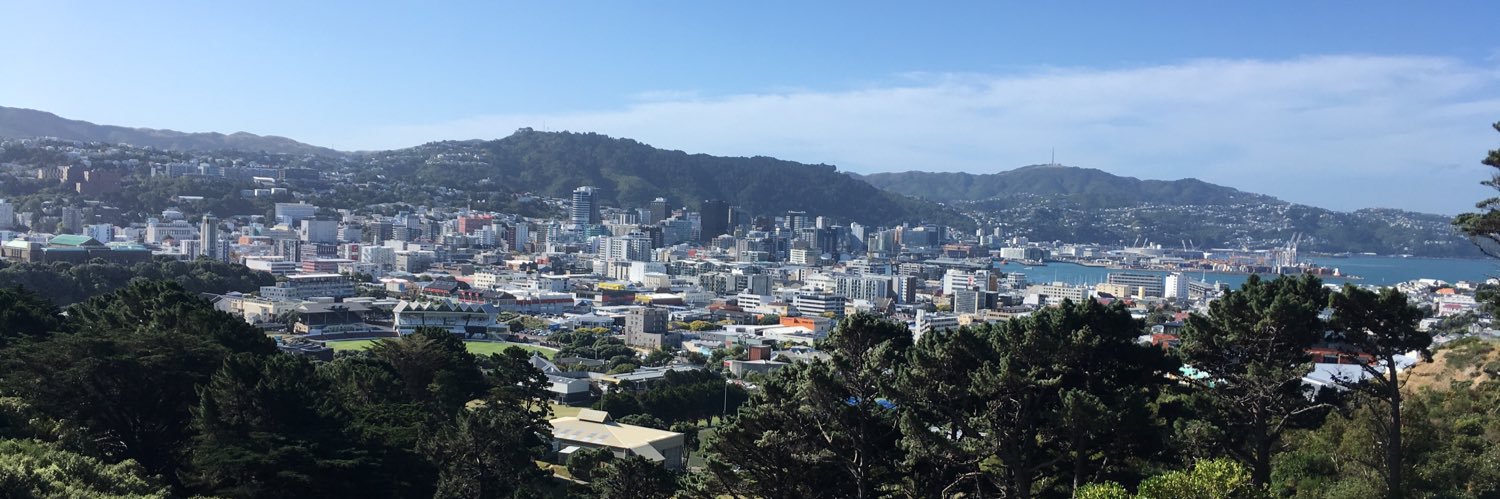 runwgtn's profile banner image