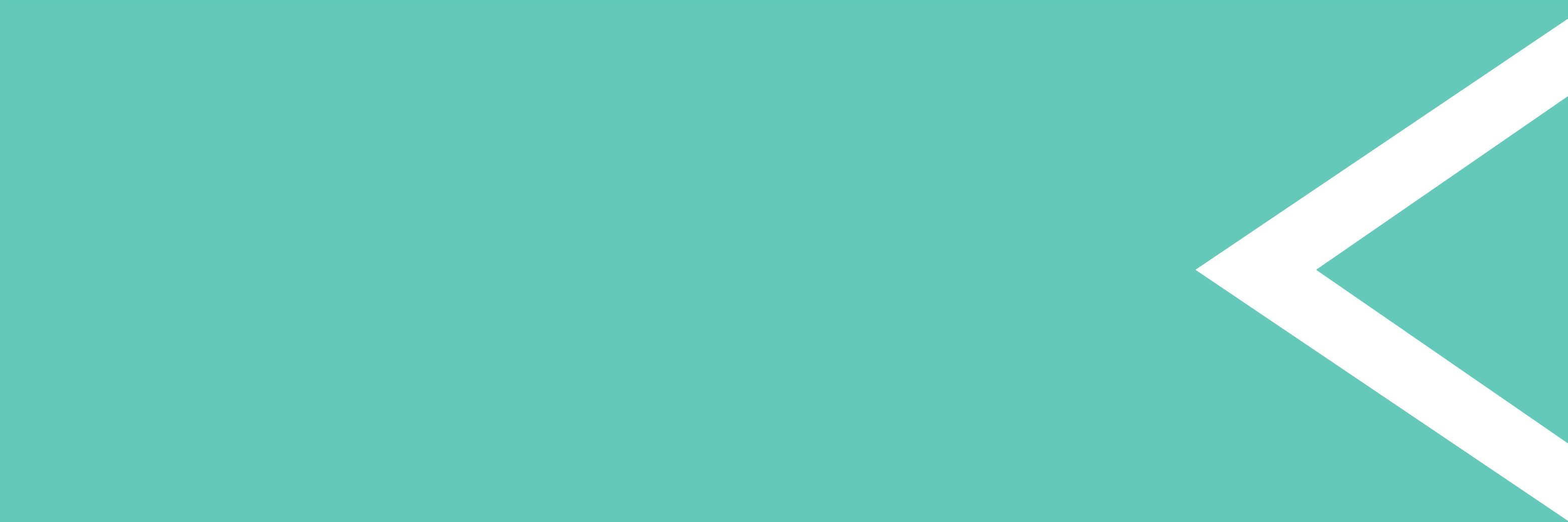 Netstore Direct banner