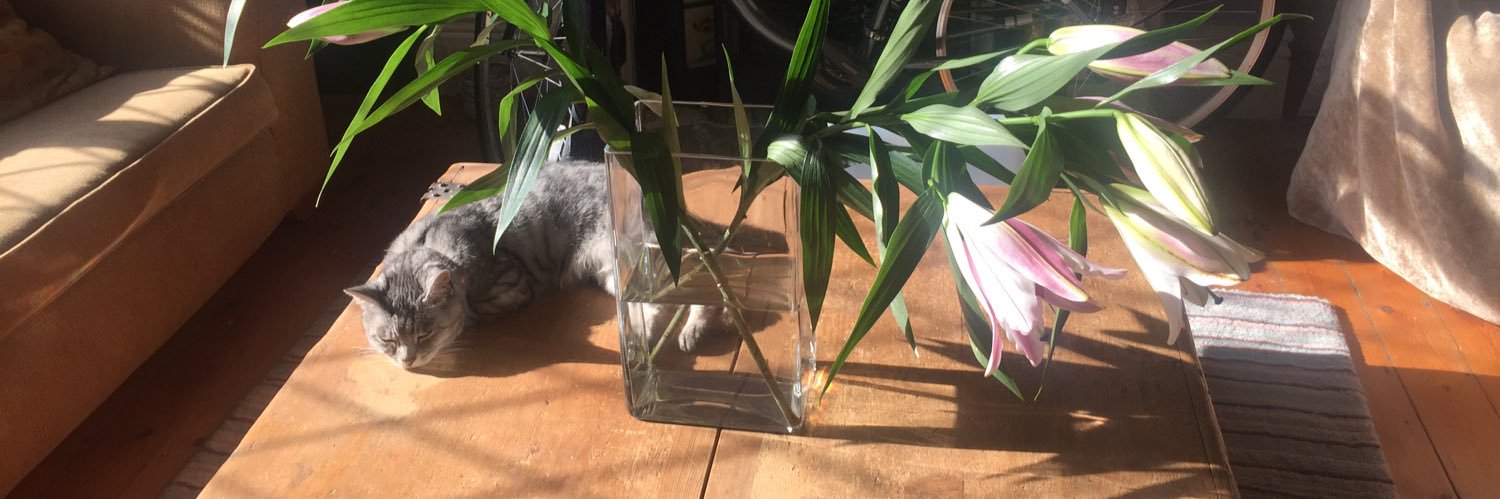 claire martin banner