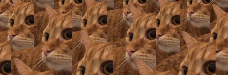 Vleeshomp's profile banner image