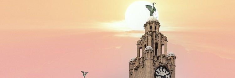 jacksonalanc's profile banner image