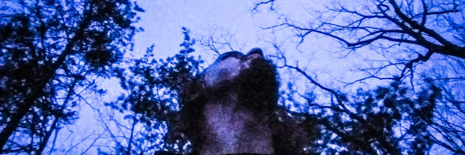 CHodge85's profile banner image