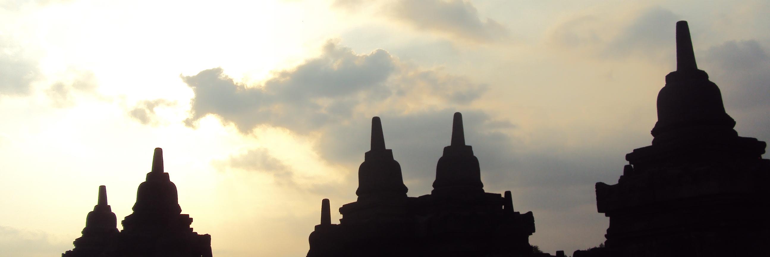 widihastuti44's profile banner image