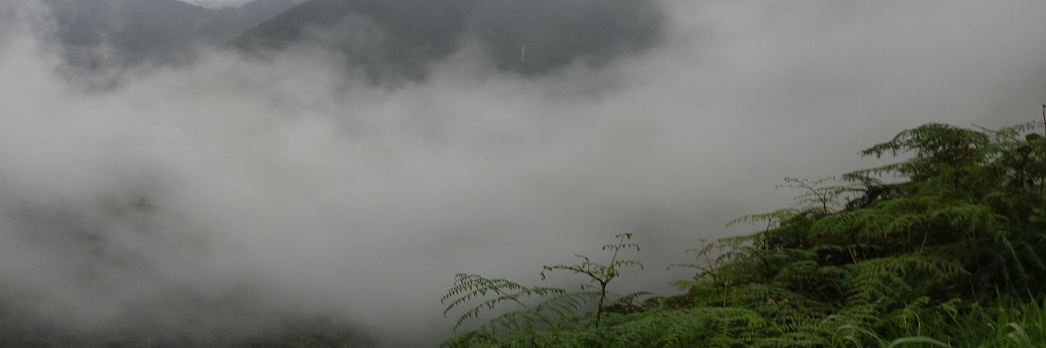 razzebr's profile banner image