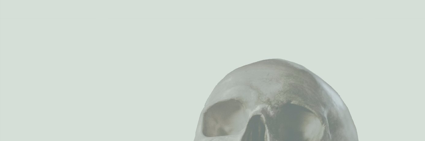 Eva_DK_'s profile banner image