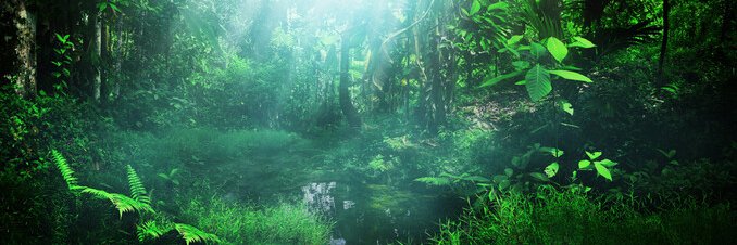 🇵🇰 Rida-Rubab 🇵🇸 banner