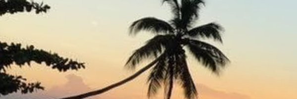 slnicholas1 Profile Banner