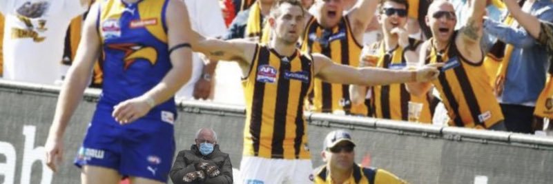 Hayden banner