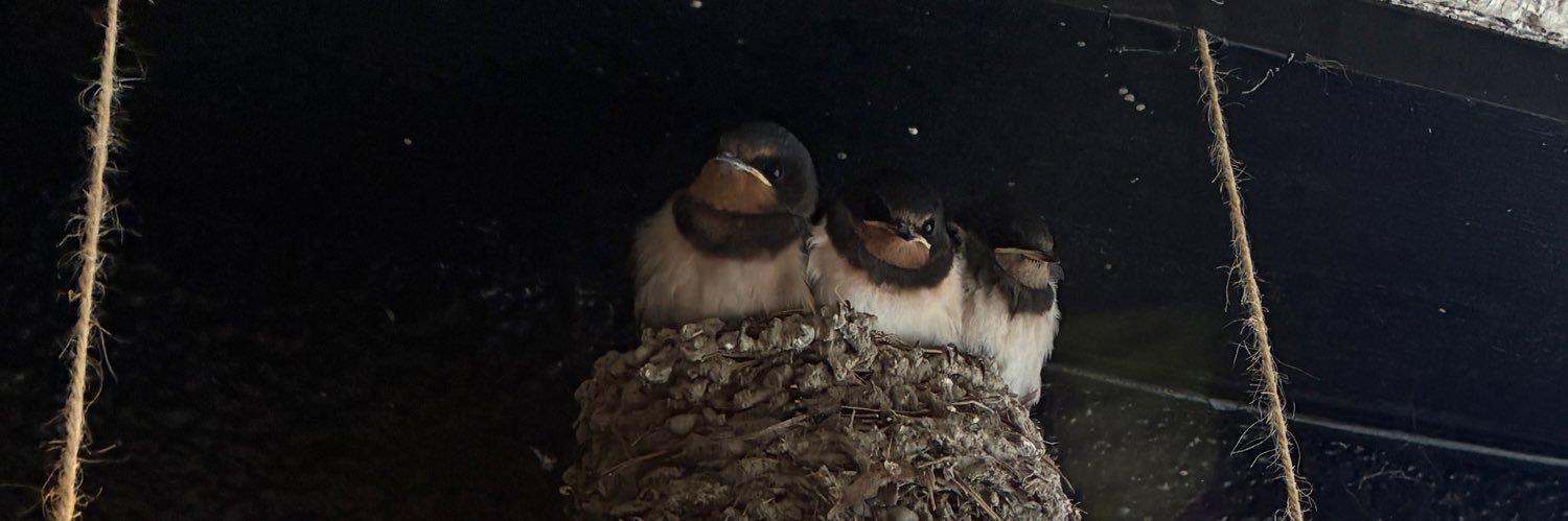 ^🥺^@さむい banner