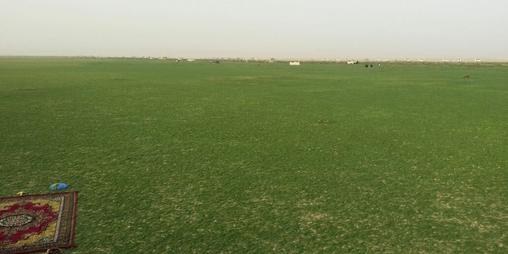 الزواج عند البلوغ banner