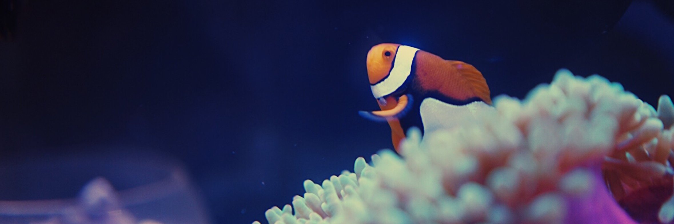 unisback's profile banner image