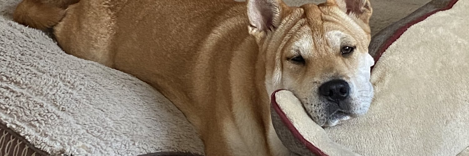 Eco-Friendly Texan 🌿 banner