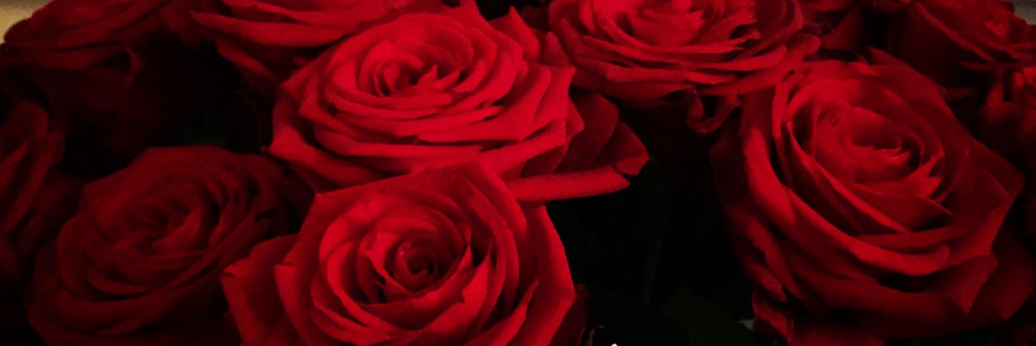 NilcanBergh's profile banner image