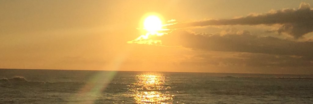 Kristin Kanaar banner