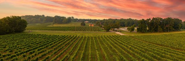 avwinery Profile Banner