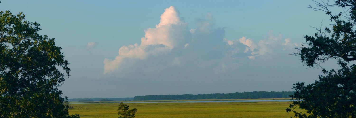 samwarnick's profile banner image