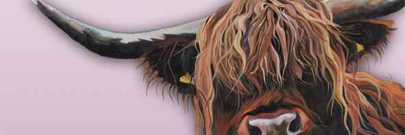 JudeTerry2's profile banner image