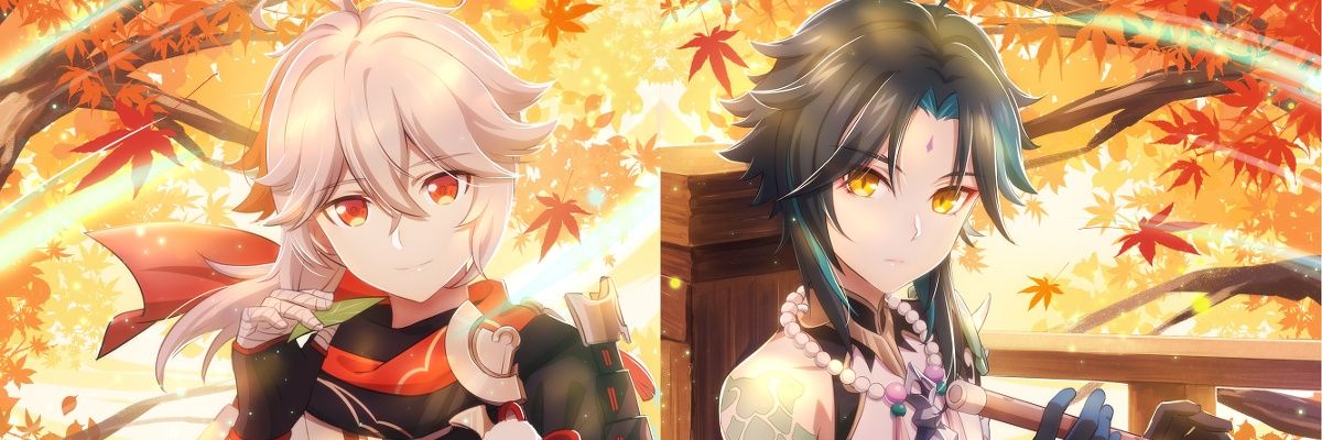 🐨 banner
