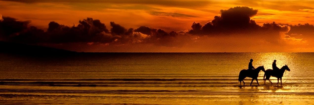 taiz66's profile banner image