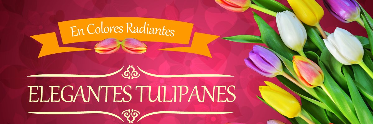 FlorDeVidaMX's profile banner image