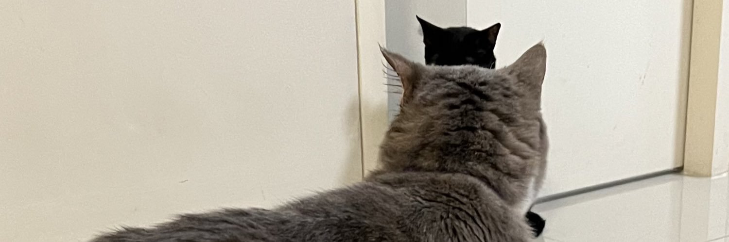 WHISHCHU's profile banner image