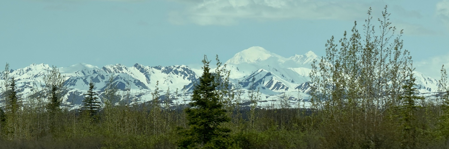 Mark Ramsey for Texas banner