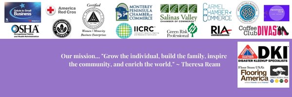 TheresaReamCEO Profile Banner