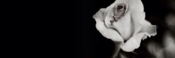 alrdah's profile banner image
