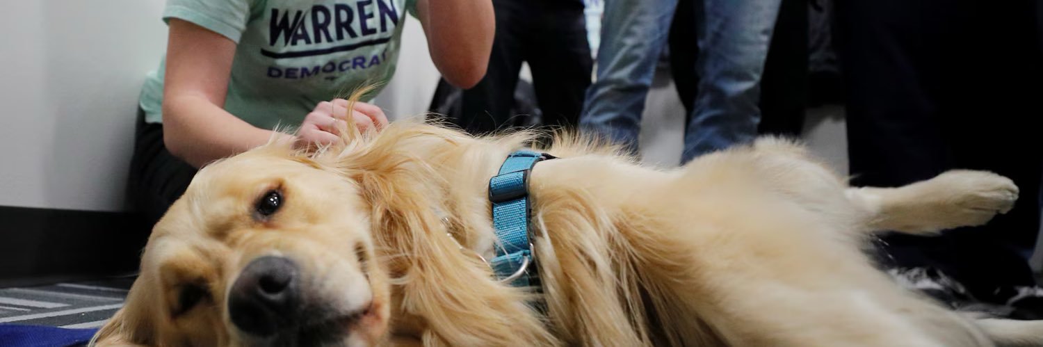 Bailey Warren banner