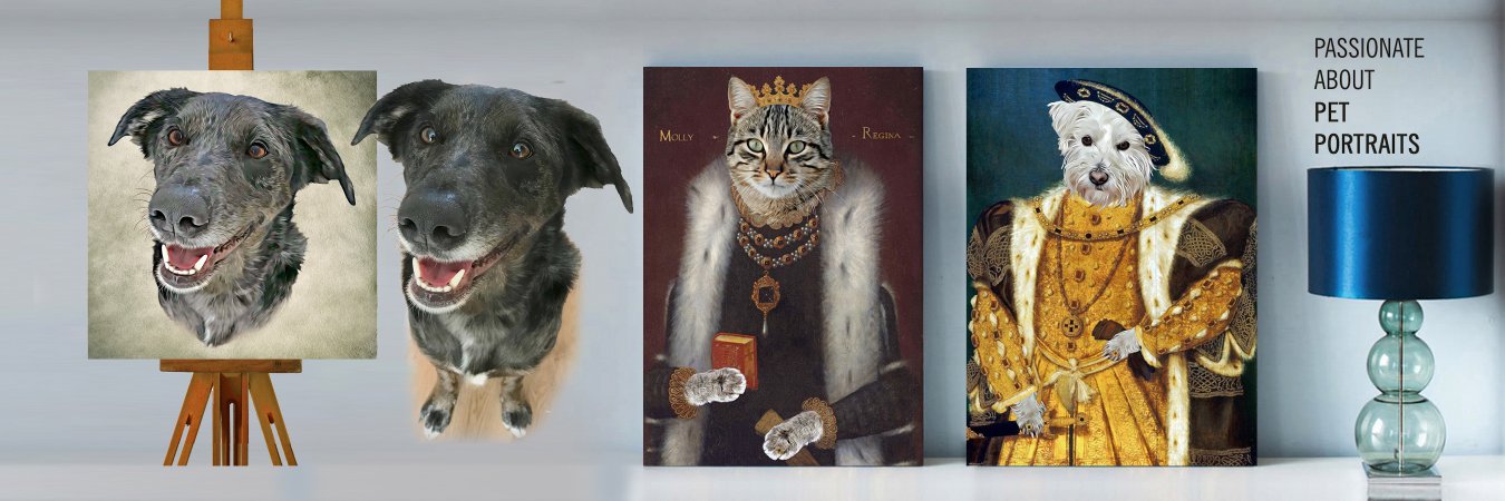 RoyalCatsDogs's profile banner image