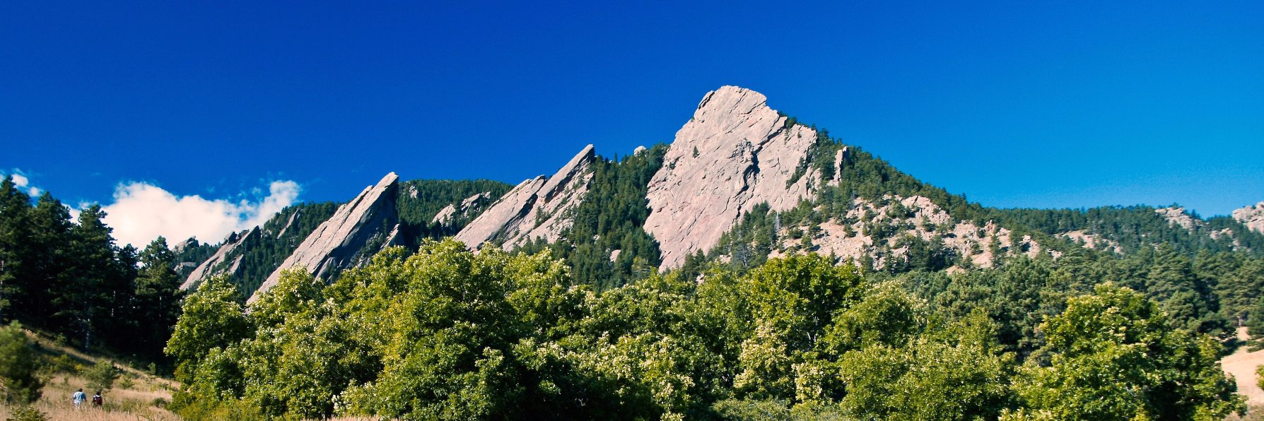 Startup Services banner