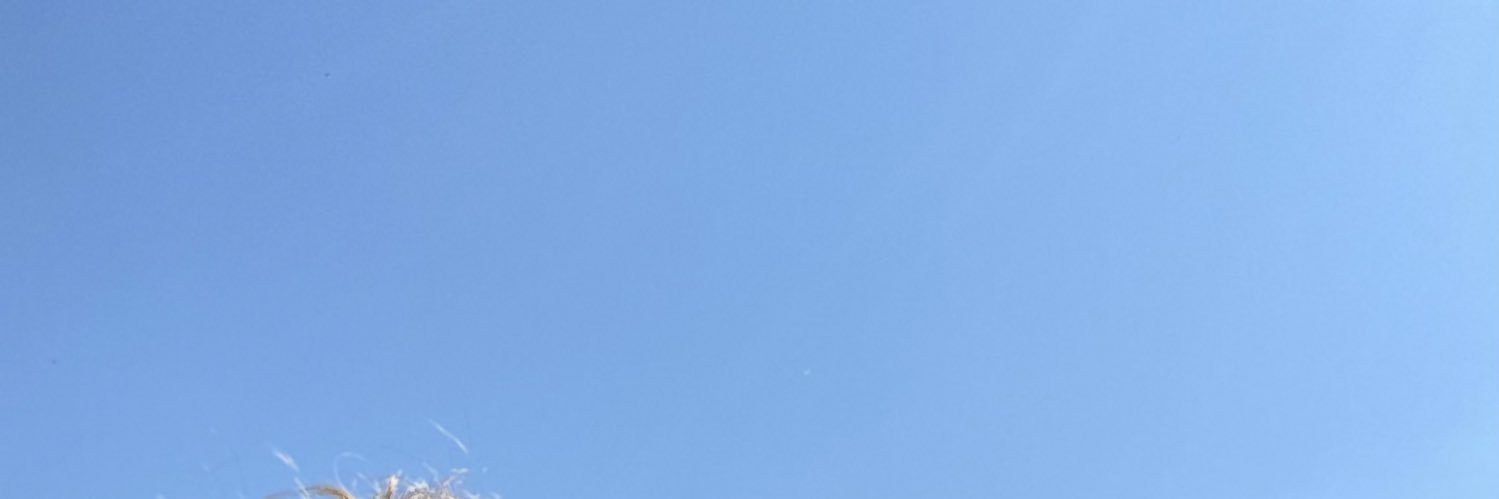 PierreClp10's profile banner image