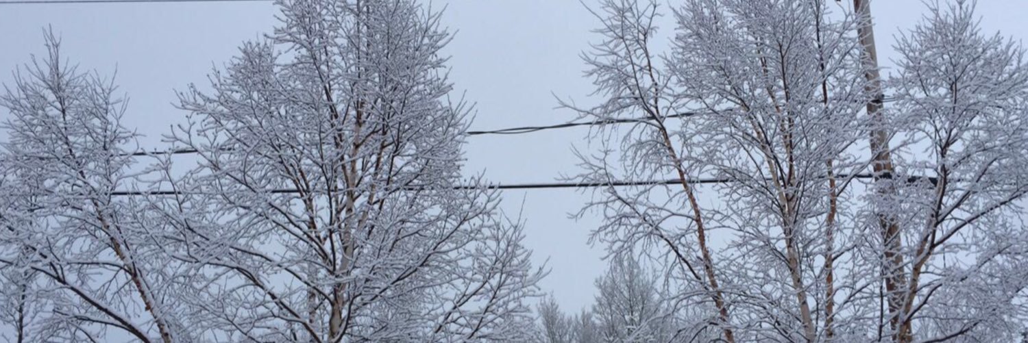 Anne_Marie22's profile banner image