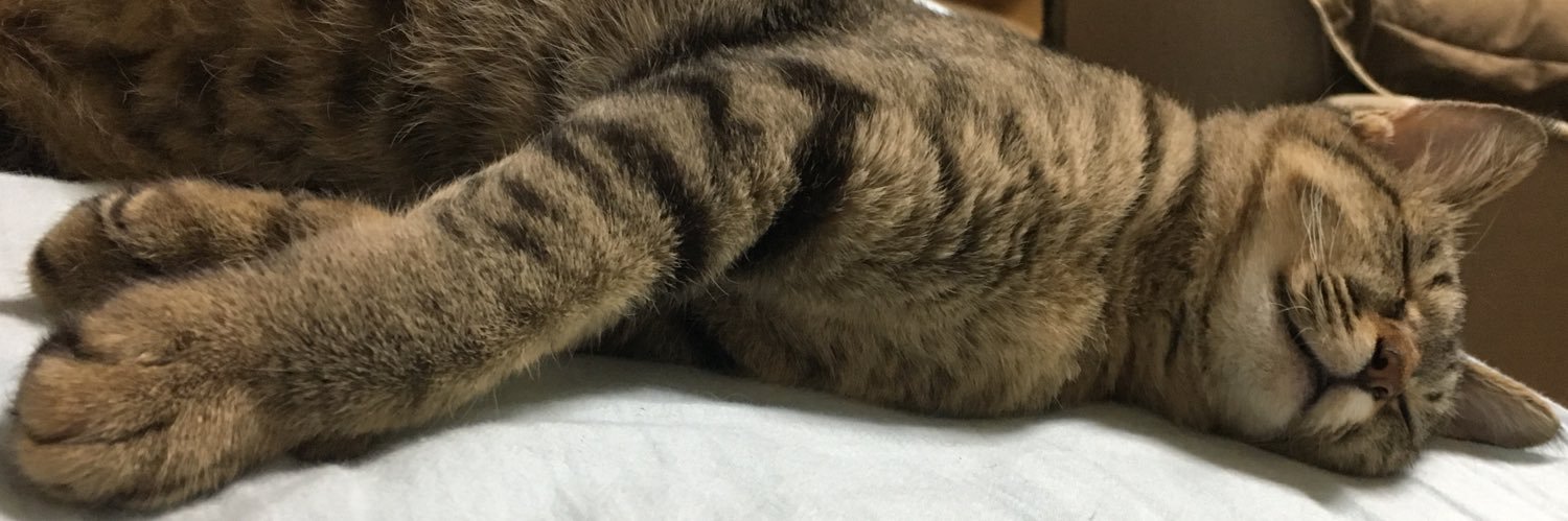 wiz_walter's profile banner image