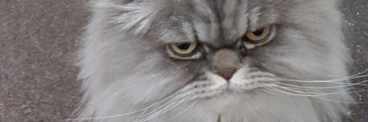 clipperqueen37's profile banner image