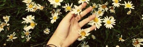 Rekamoor's profile banner image