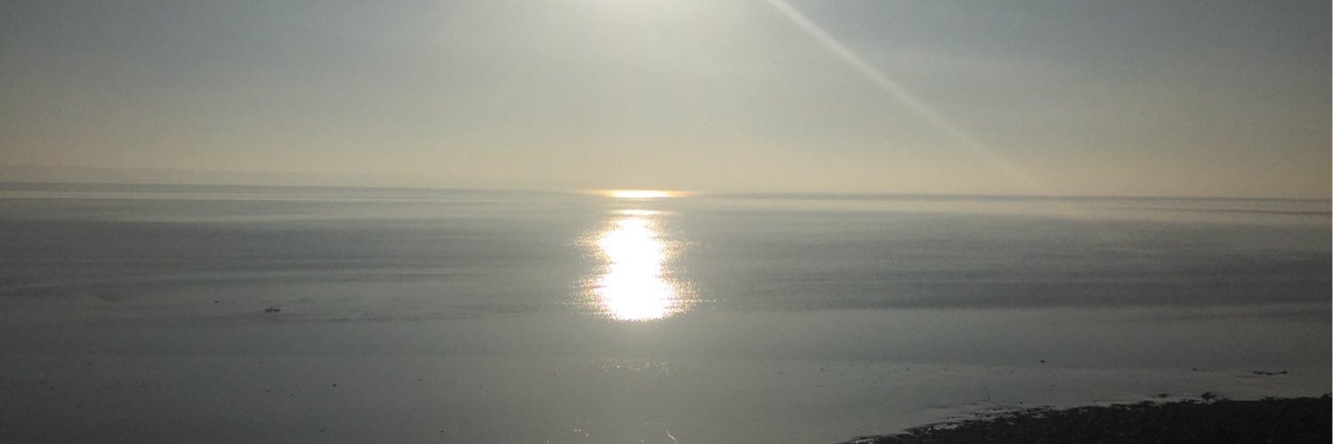 Laura Nicholson banner