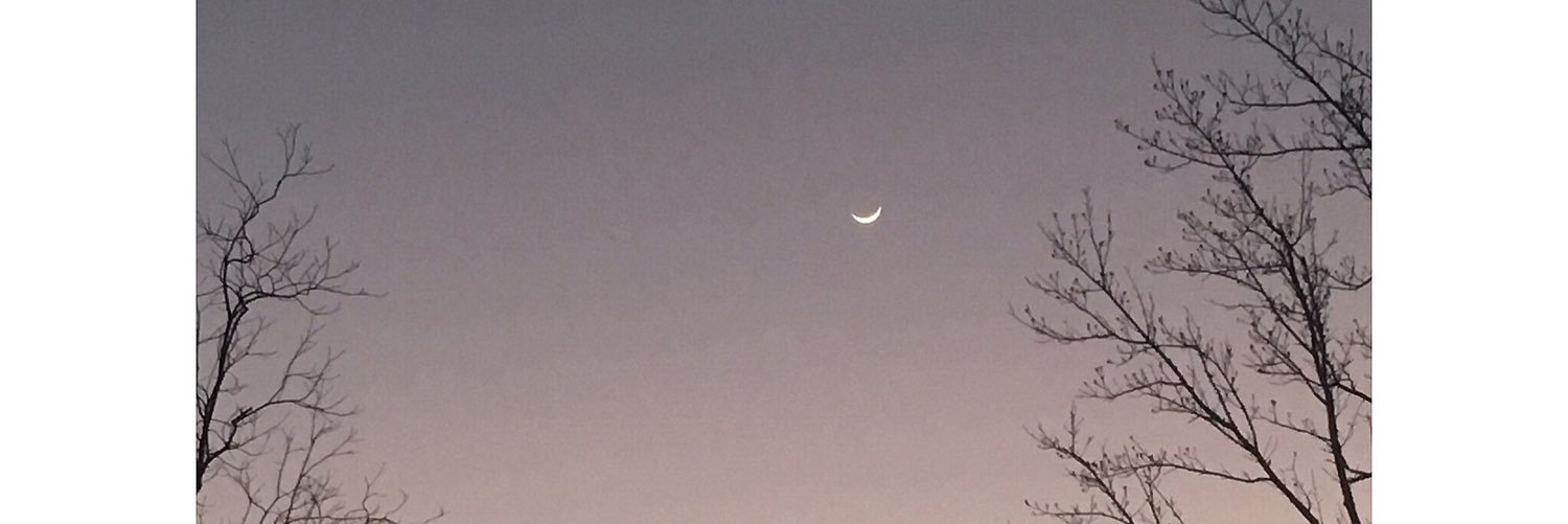 Unsteady199862's profile banner image