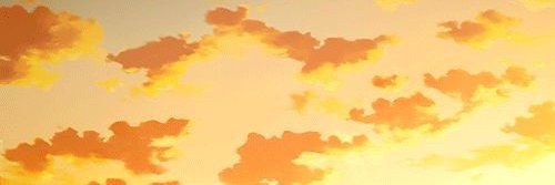 Raye Quillback banner