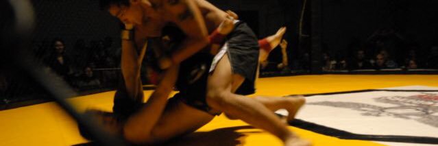 paulbartonMMA's profile banner image