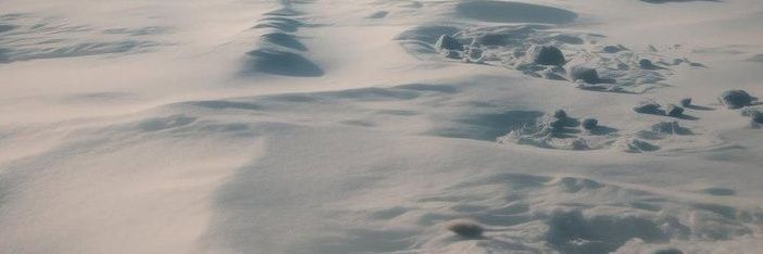 SelenaSRC5's profile banner image