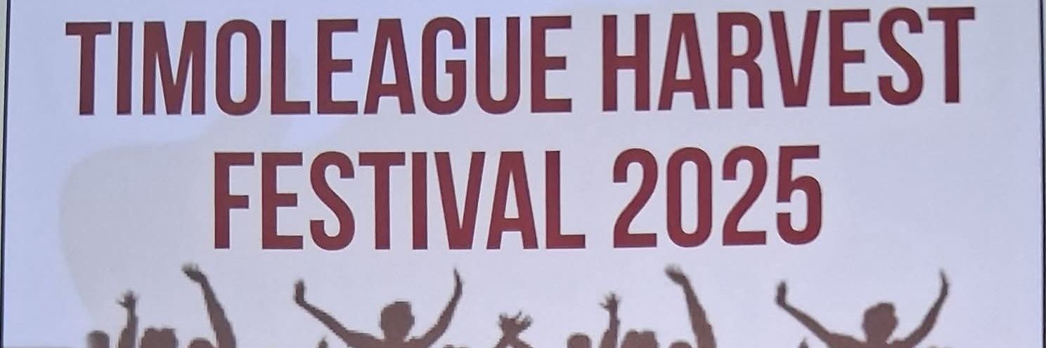 Timoleague Festival banner