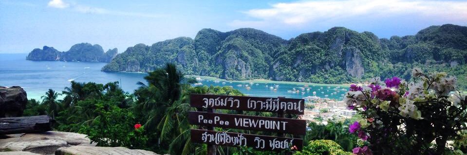 Amy Furnival 🌻 banner